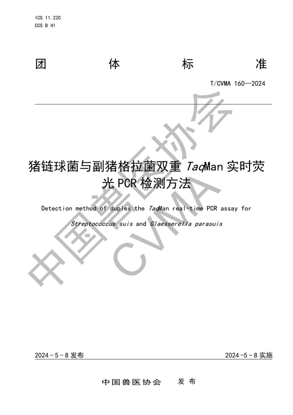 T/CVMA 160-2024 猪链球菌与副猪格拉菌双重TaqMan实时荧光PCR检测方法