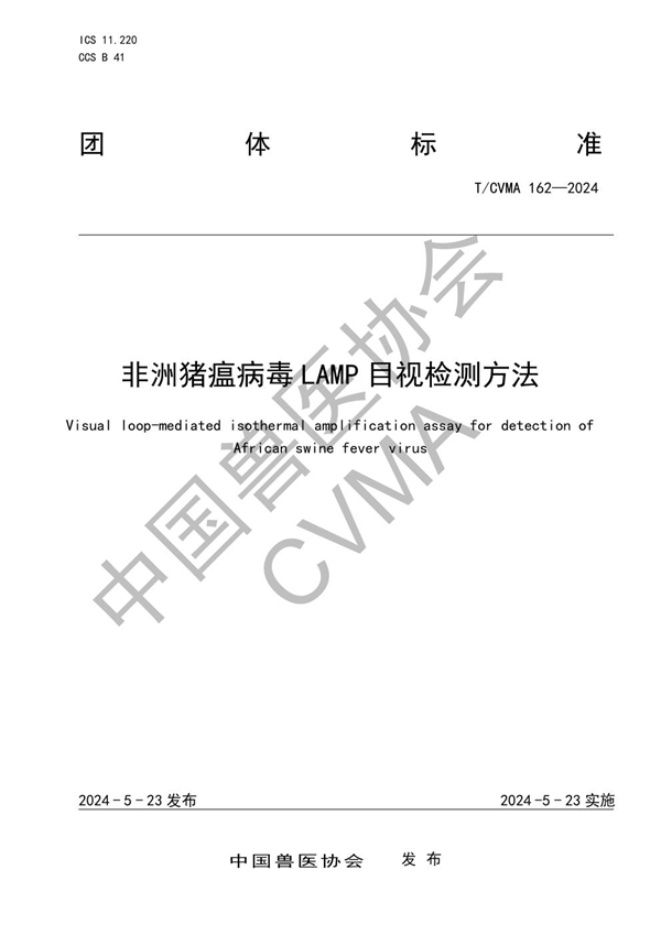 T/CVMA 162-2024 非洲猪瘟病毒LAMP目视检测方法