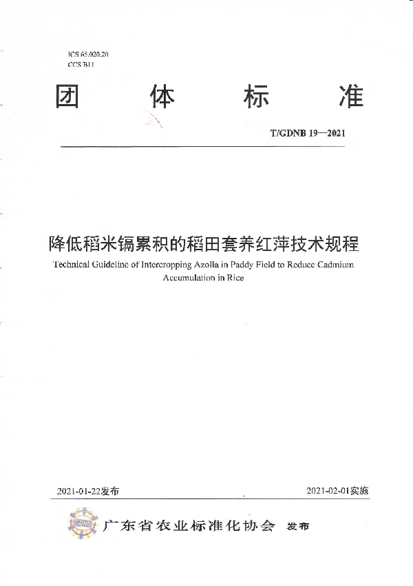 T/GDNB 19-2021 降低稻米镉累积的稻田套养红萍技术规程