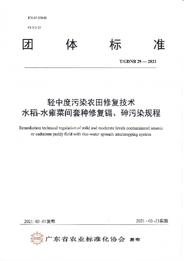 T/GDNB 29-2021 轻中度污染农田修复技术 水稻-水雍菜间套种修复镉、砷污染规程