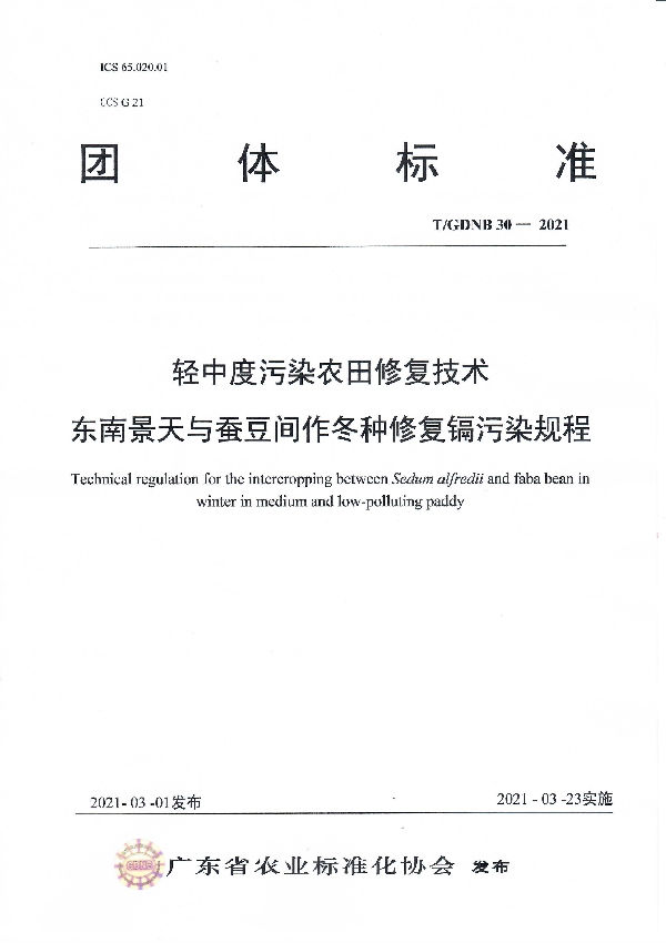 T/GDNB 30-2021 轻中度污染农田修复技术 东南景天与蚕豆间作冬种修复镉污染规程