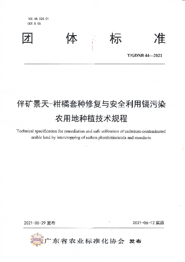 T/GDNB 44-2021 伴矿景天-柑橘套种修复与安全利用镉污染农用地种植技术规程