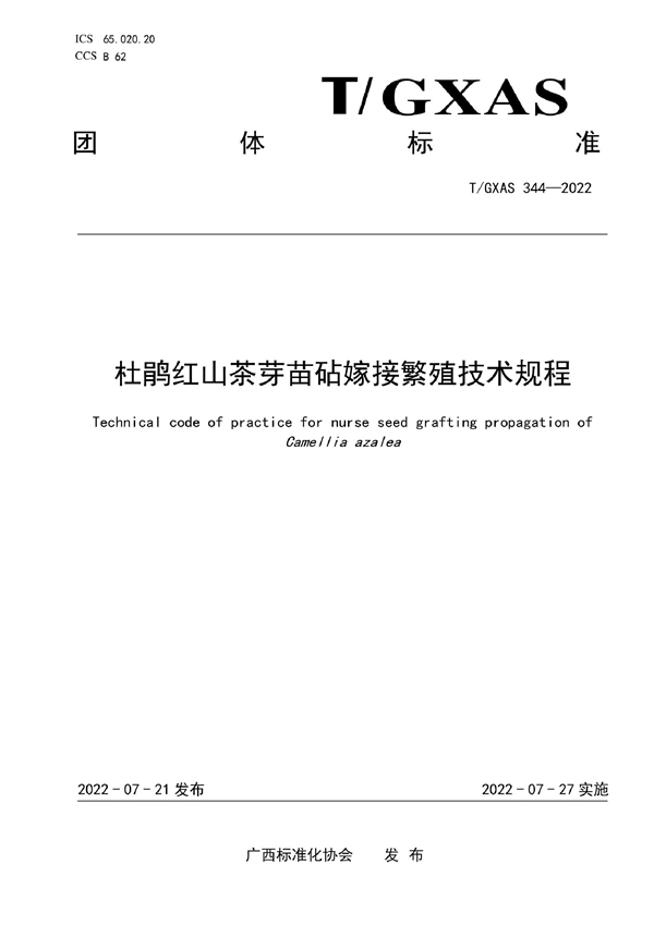 T/GXAS 344-2022 杜鹃红山茶芽苗砧嫁接繁殖技术规程