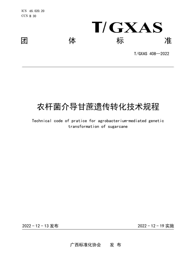 T/GXAS 408-2022 农杆菌介导甘蔗遗传转化技术规程