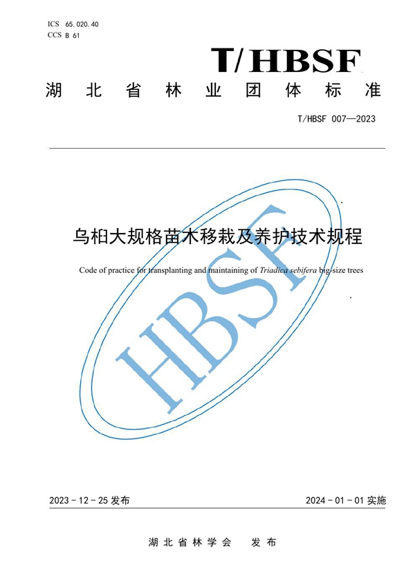 T/HBSF 007-2023 乌柏大规格苗木移栽及养护技术规程