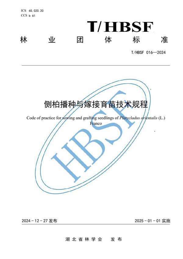 T/HBSF 016-2024 侧柏播种与嫁接育苗技术规程