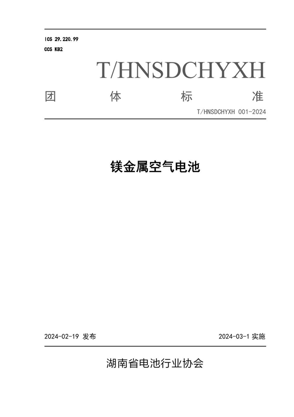 T/HNSDCHYXH 001-2024 镁金属空气电池