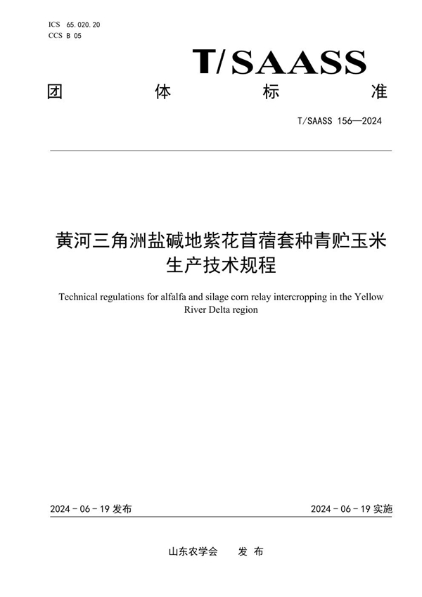 T/SAASS 156-2024 黄河三角洲盐碱地紫花苜蓿套种青贮玉米生产技术规程