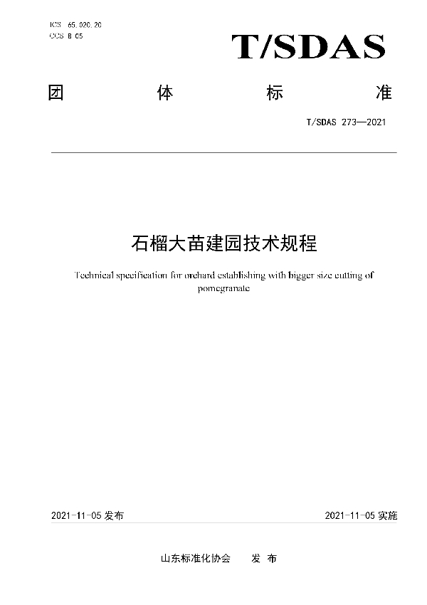 T/SDAS 273-2021 石榴大苗建园技术规程