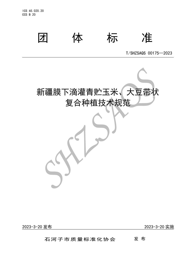 T/SHZSAQS 00175-2023 新疆膜下滴灌青贮玉米、大豆带状复合种植技术规范