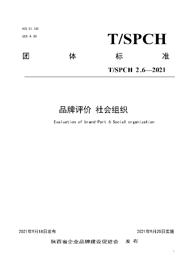 T/SPCH 2.6-2021 品牌评价 社会组织