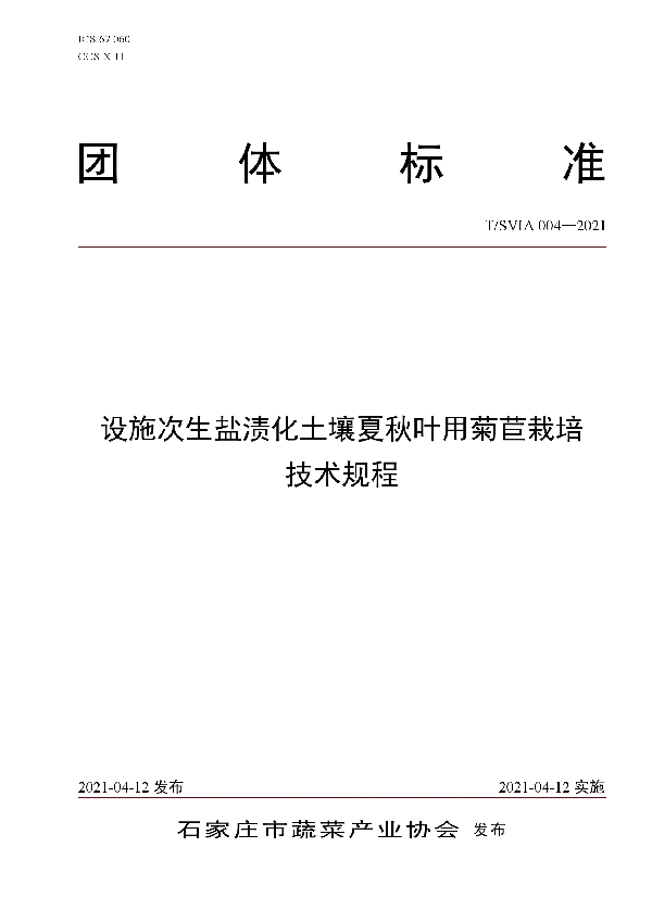 T/SVIA 004-2021 设施次生盐渍化土壤夏秋叶用菊苣栽培技术规程