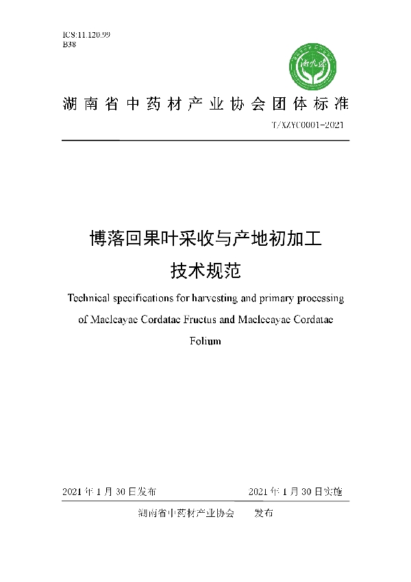 T/XZYC 0001-2021 博落回果叶采收与产地初加工技术规范