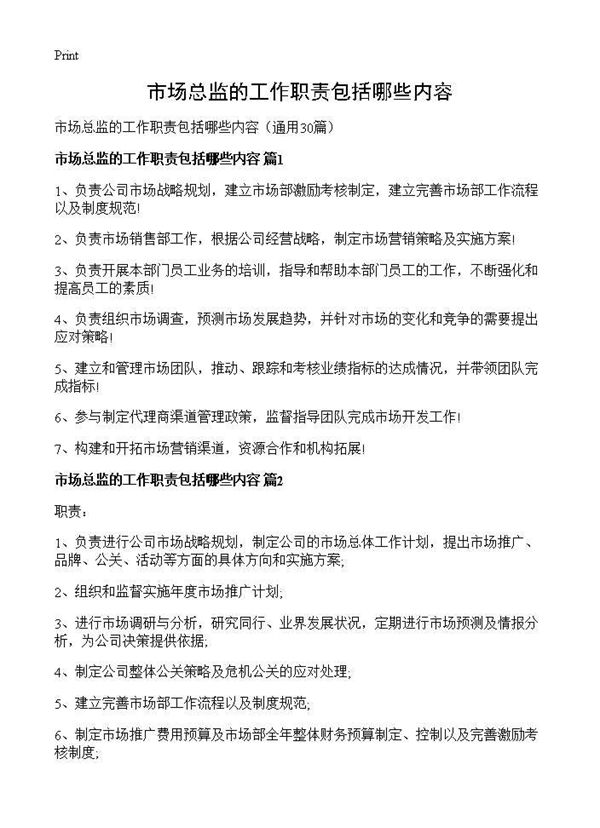 市场总监的工作职责包括哪些内容 (共13页)