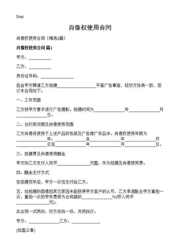 肖像权使用合同 (共10页)