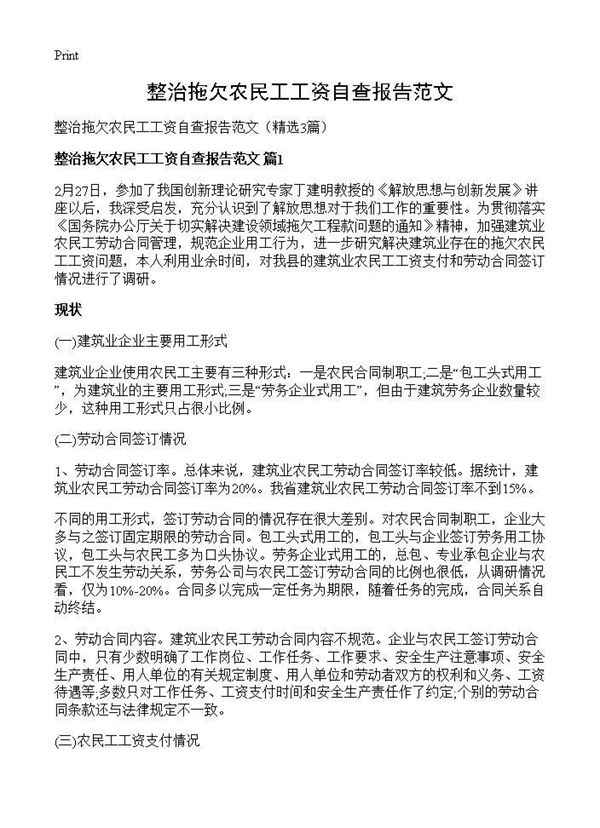 整治拖欠农民工工资自查报告范文 (共5页)