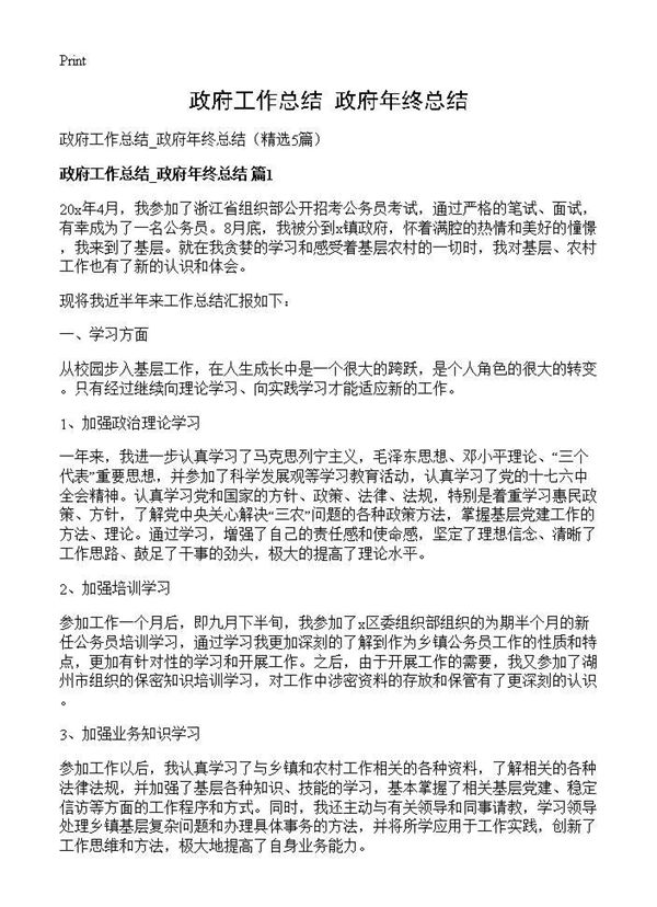 政府工作总结 政府年终总结 (共9页)