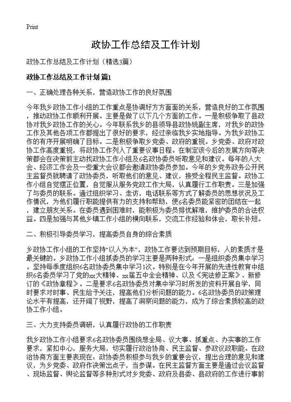 政协工作总结及工作计划 (共5页)