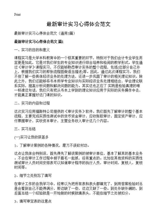 最新审计实习心得体会范文 (共6页)