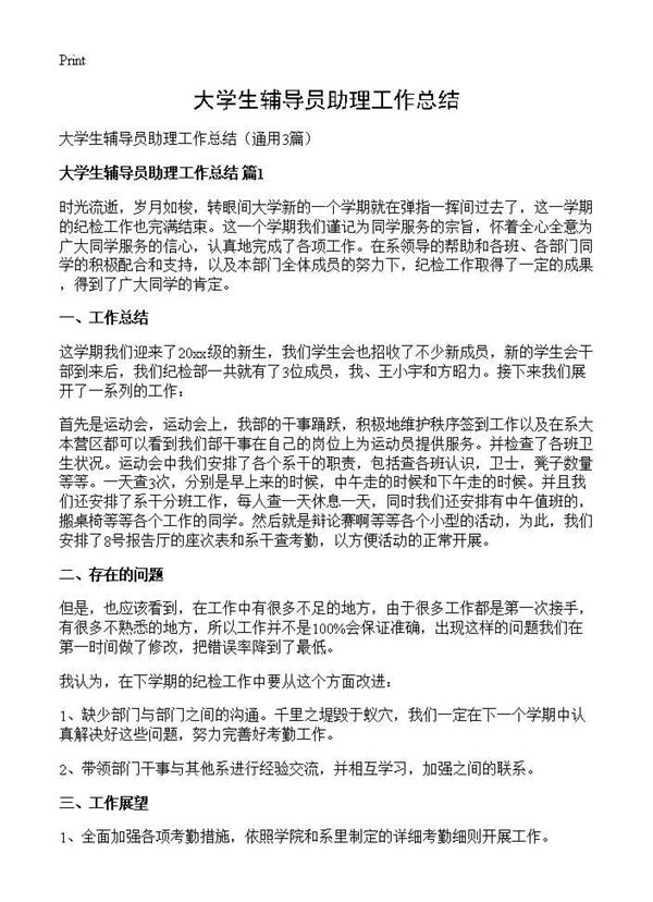 大学生辅导员助理工作总结 (共4页)