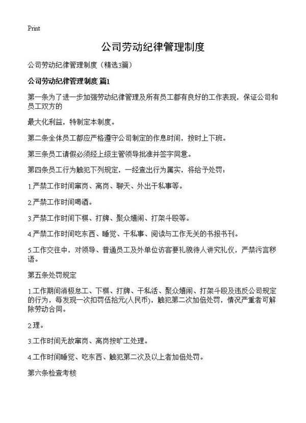 公司劳动纪律管理制度 (共5页)
