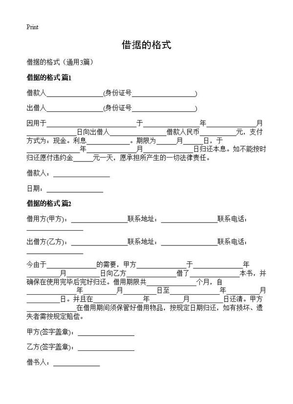 借据的格式 (共2页)