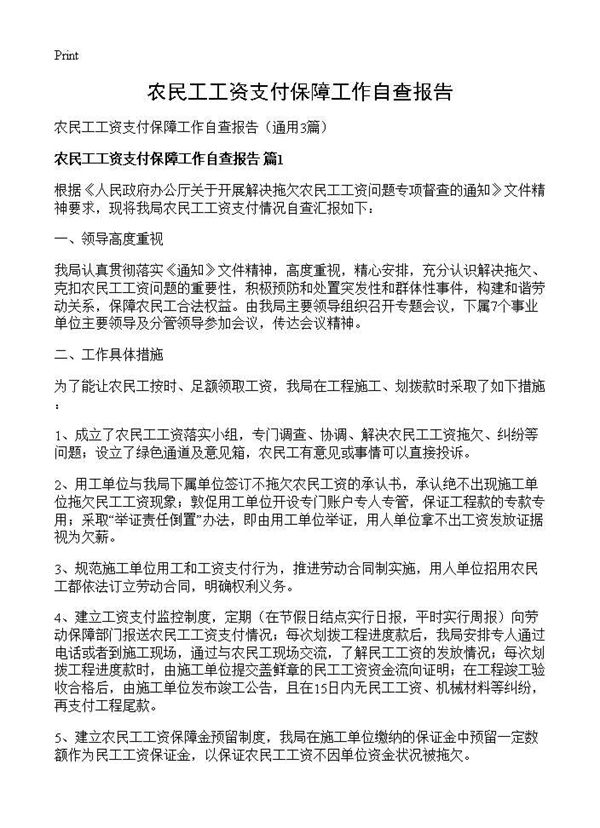 农民工工资支付保障工作自查报告 (共4页)