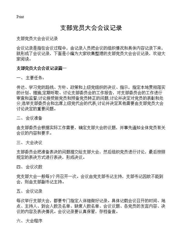 支部党员大会会议记录 (共4页)