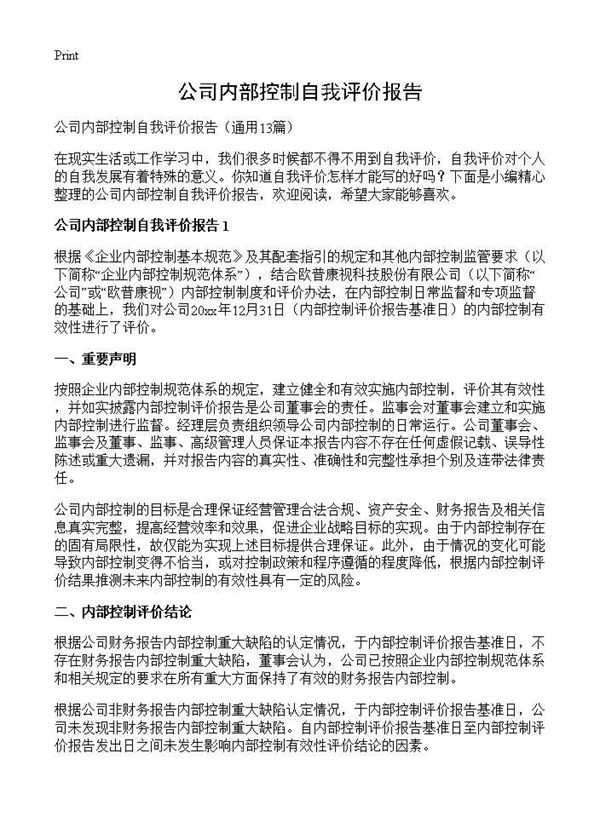 公司内部控制自我评价报告 (共42页)