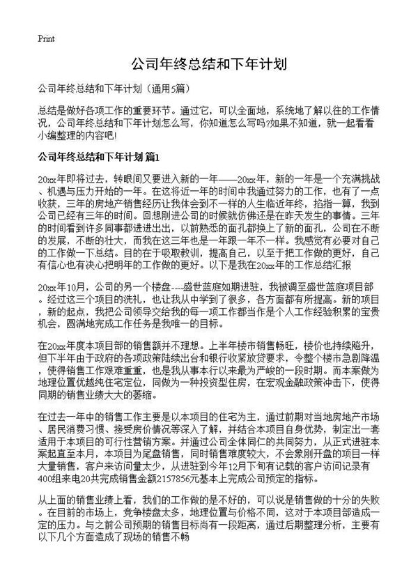 公司年终总结和下年计划 (共17页)