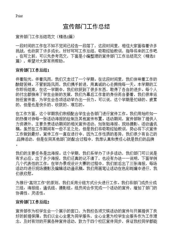 宣传部门工作总结 (共8页)