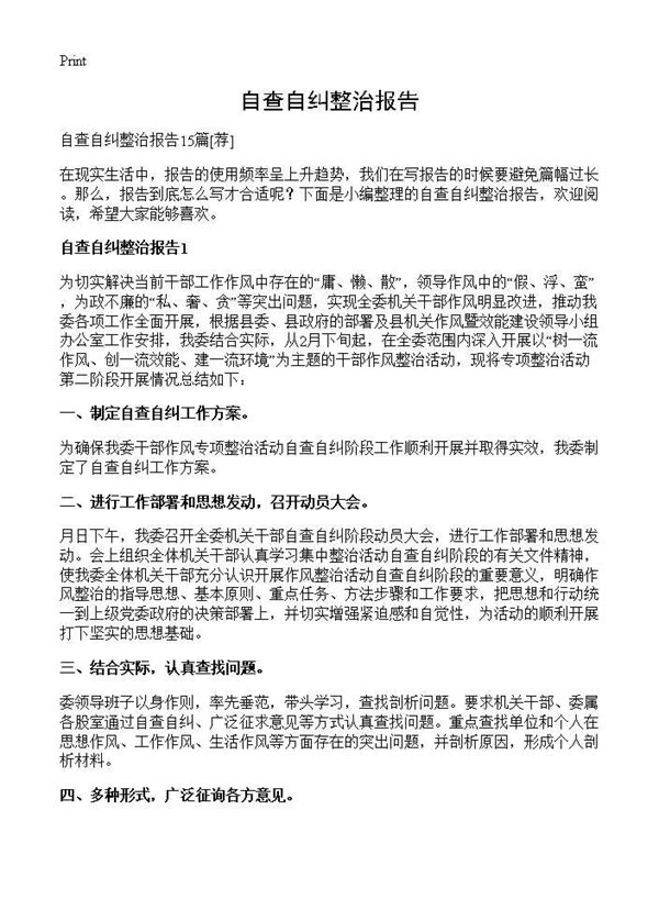 自查自纠整治报告 (共17页)