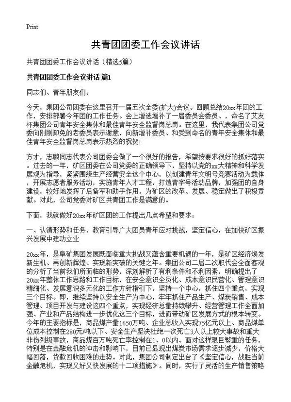 共青团团委工作会议讲话 (共14页)