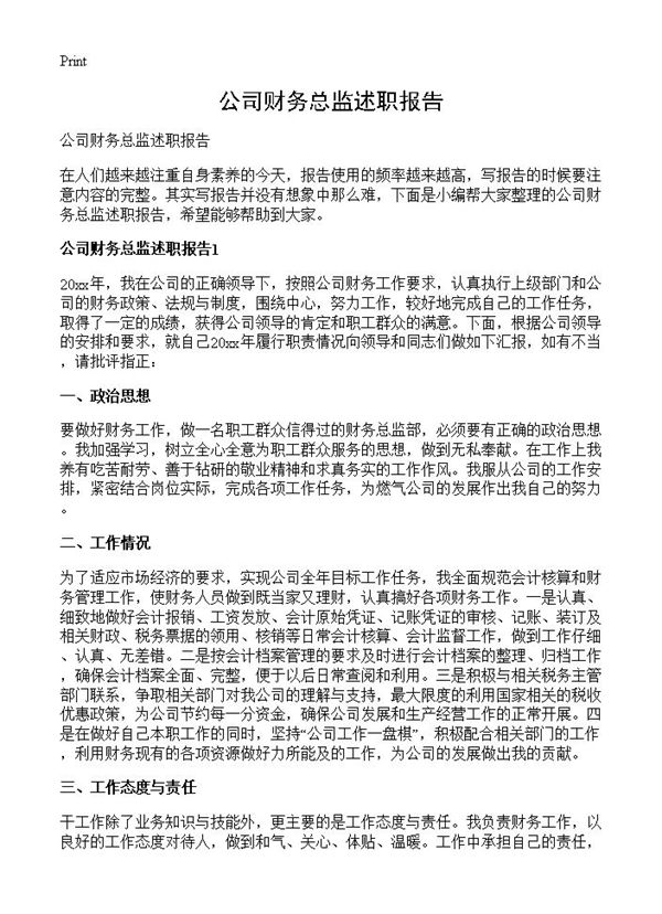 公司财务总监述职报告 (共10页)