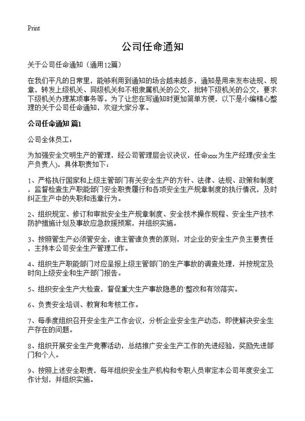 公司任命通知 (共6页)