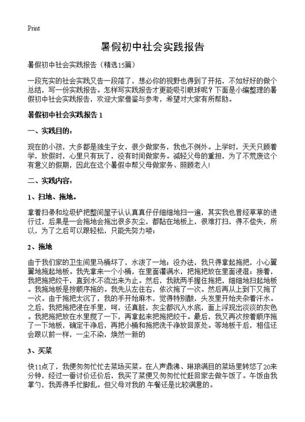 暑假初中社会实践报告 (共14页)