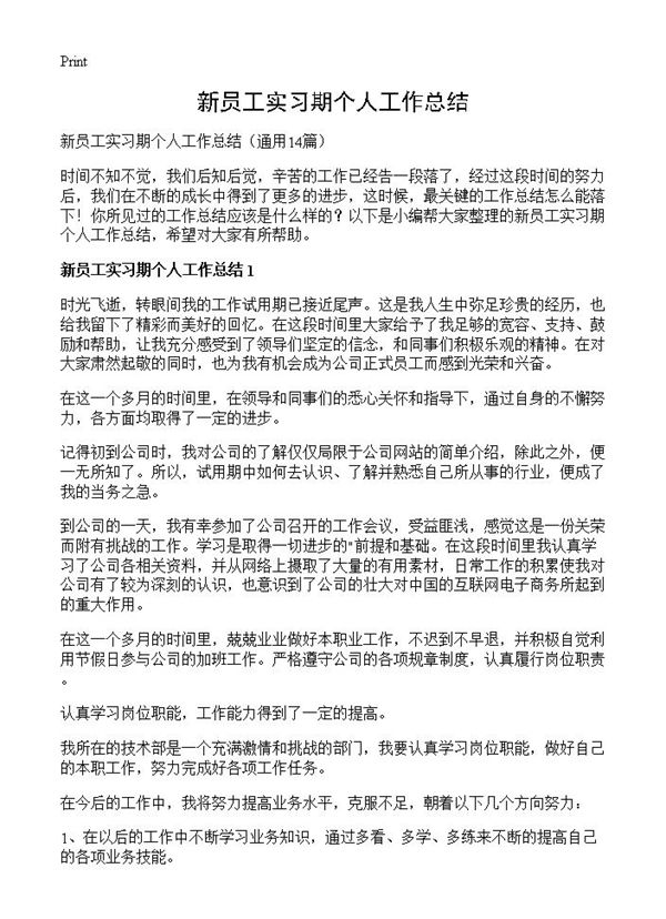 新员工实习期个人工作总结 (共14页)