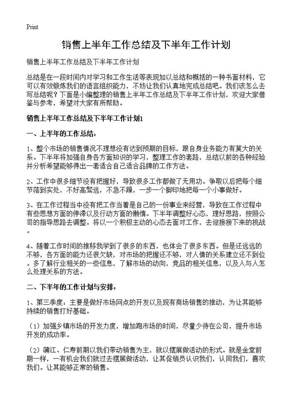 销售上半年工作总结及下半年工作计划 (共13页)