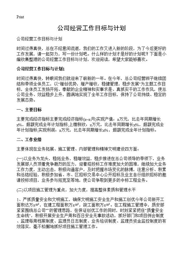 公司经营工作目标与计划 (共6页)