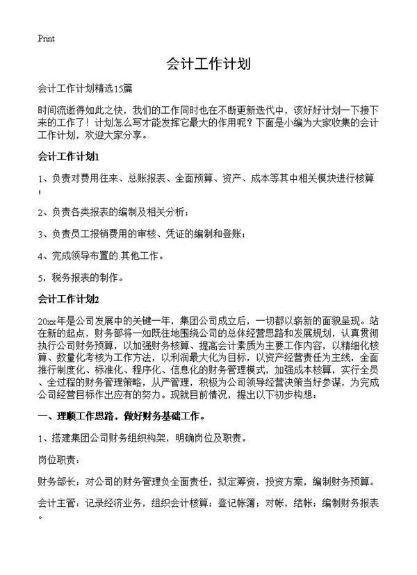 会计工作计划 (共22页)