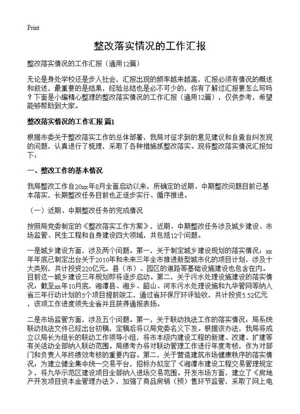 整改落实情况的工作汇报 (共19页)