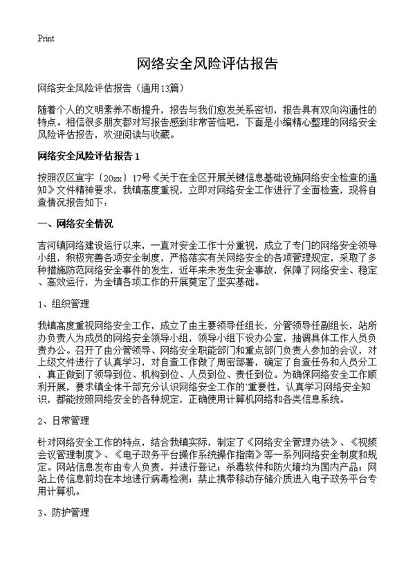 网络安全风险评估报告 (共19页)