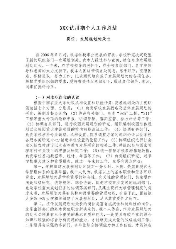 XXX试用期个人工作总结 (共5页)