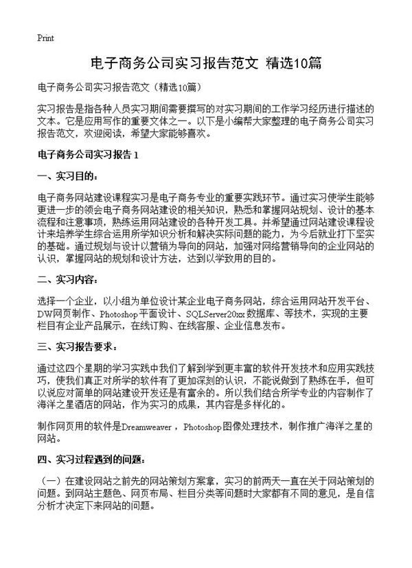 电子商务公司实习报告范文 (共19页)