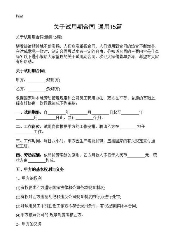 关于试用期合同 (共17页)