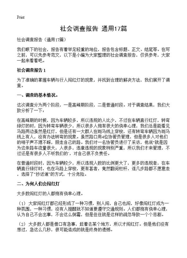 社会调查报告 (共22页)