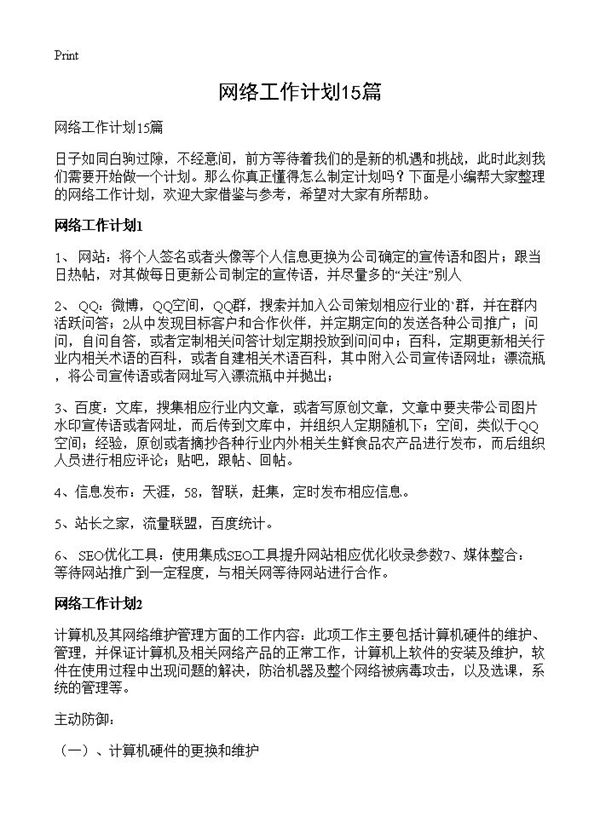 网络工作计划 (共19页)