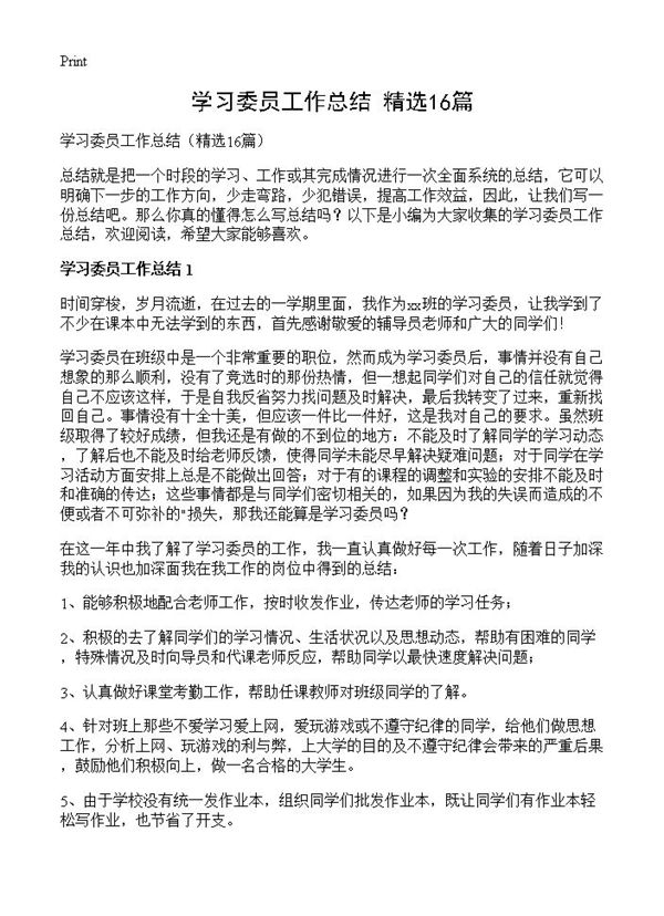 学习委员工作总结 (共18页)