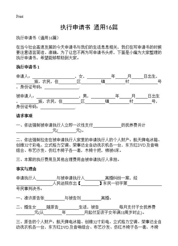 执行申请书 (共12页)