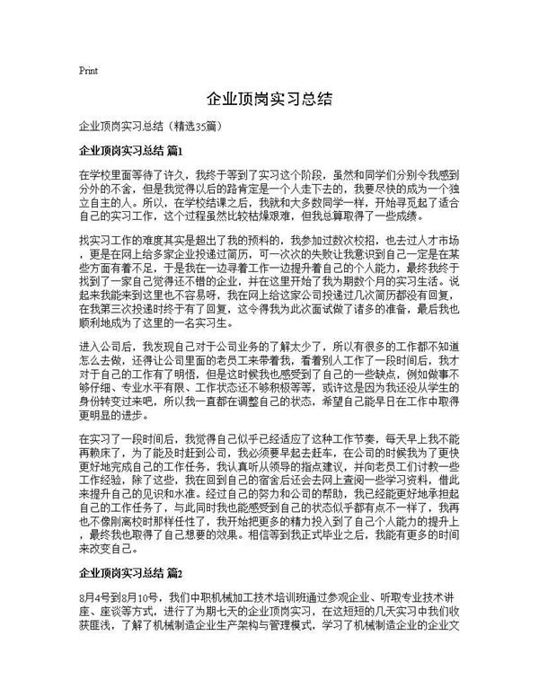 企业顶岗实习总结 (共40页)